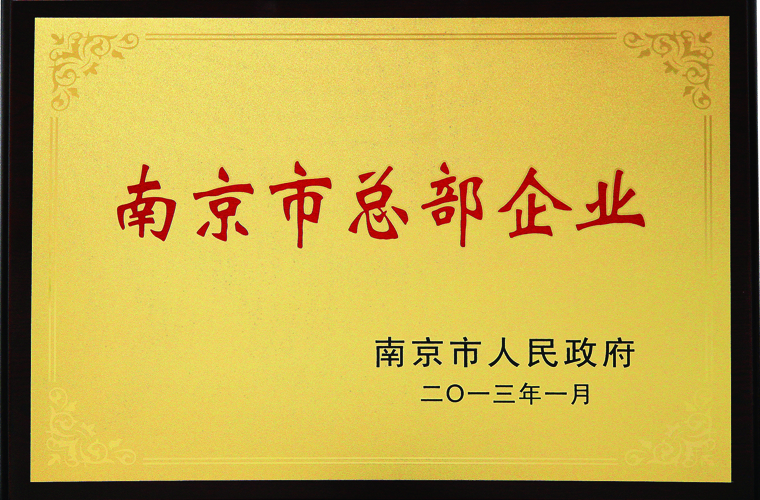 2013 南京市总部企业.jpg