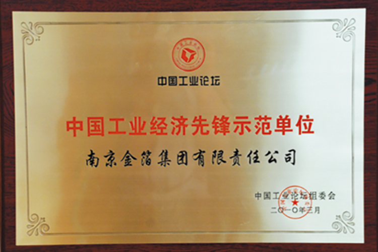 2010 中国工业经济先锋示范单位.jpg